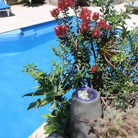 Snells Beach Motel Buitenkant foto